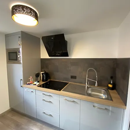 Confort, A 2 Min De Colmar Apartment