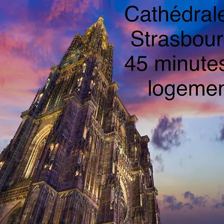Confort, A 2 Min De Colmar Apartment
