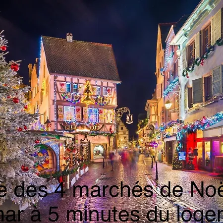 アパート Confort, A 2 Min De Colmar *
