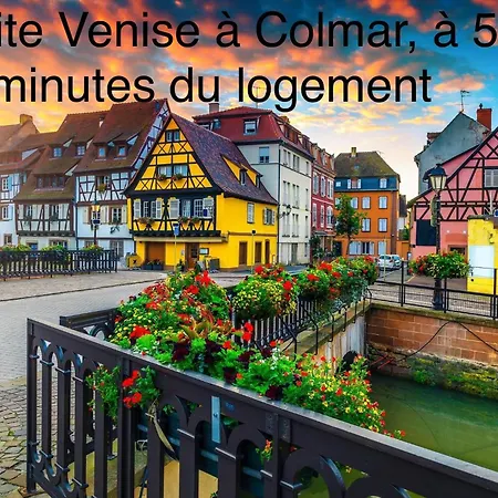 Confort, A 2 Min De Colmar Horbourg