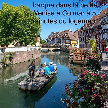 Confort, A 2 Min De Colmar *
