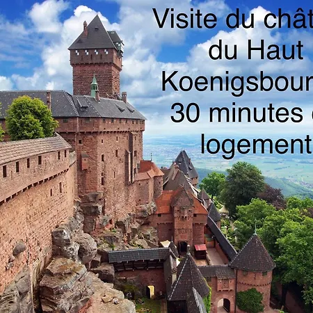 アパート Confort, A 2 Min De Colmar *