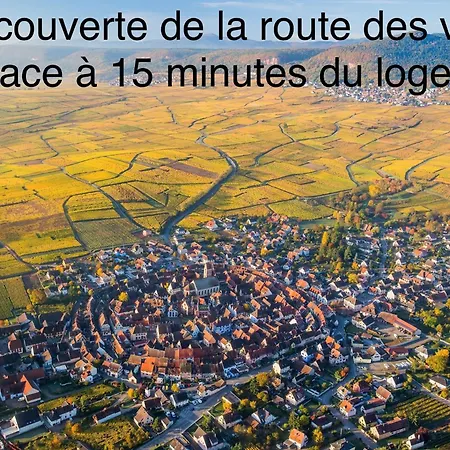 アパート Confort, A 2 Min De Colmar オルブール